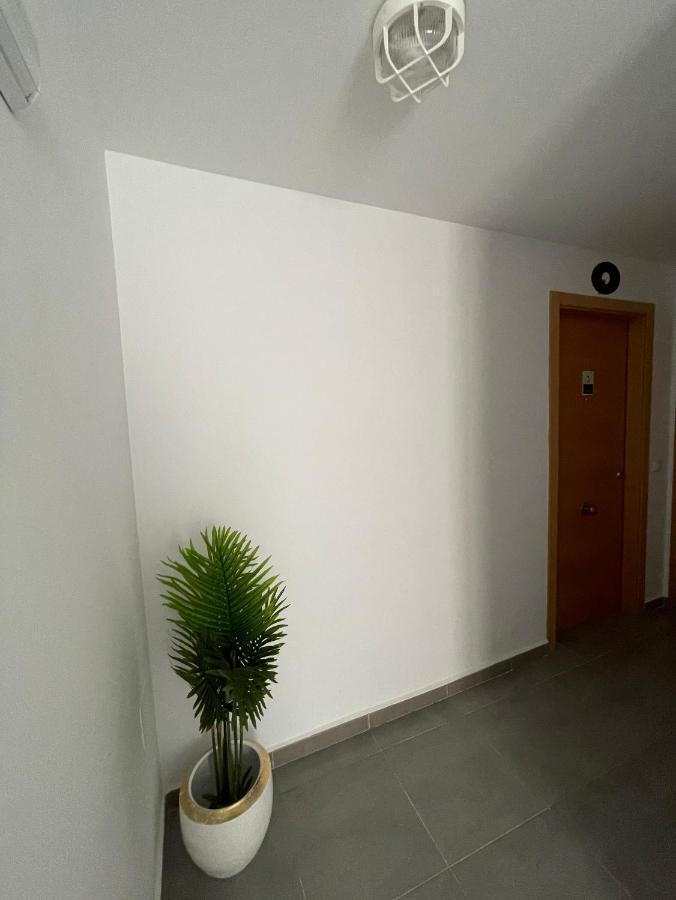 Casa Sofia Apartment อะโลรา ภายนอก รูปภาพ